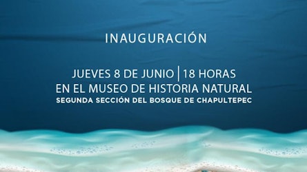 La exposición "Playa Cero" busca concientizar sobre el impacto humano en playas mexicanas